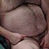 fat chubby bears